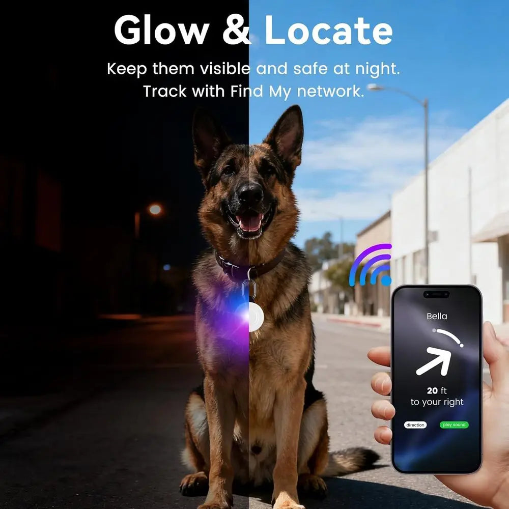 2-in-1 GPS Tracker and IP68 Dog Light for Safe Pet Visibility