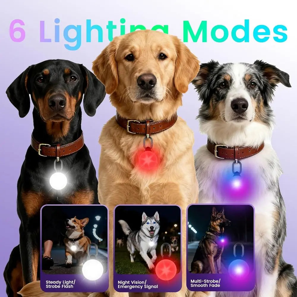 2-in-1 GPS Tracker and IP68 Dog Light for Safe Pet Visibility
