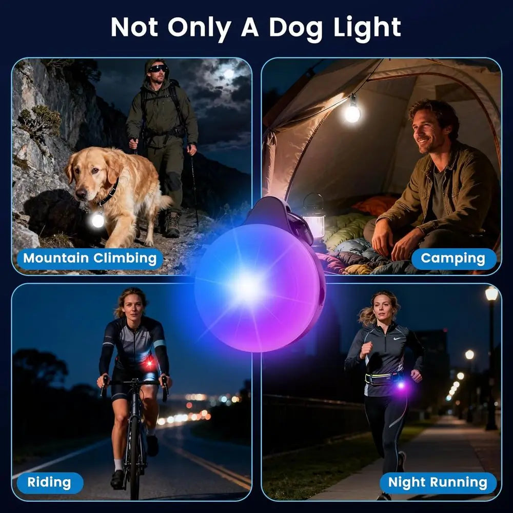 2-in-1 GPS Tracker and IP68 Dog Light for Safe Pet Visibility