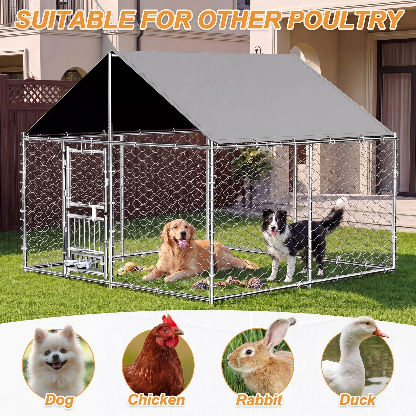Heavy Duty Outdoor Dog Kennel With Dual Opening Doors