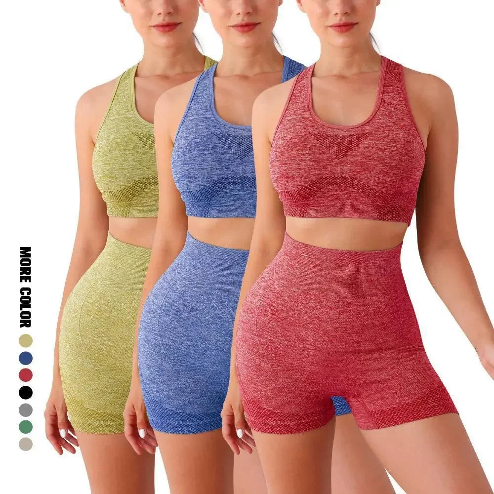 Yoga Set Women Seamless Sports Bra and Leggings