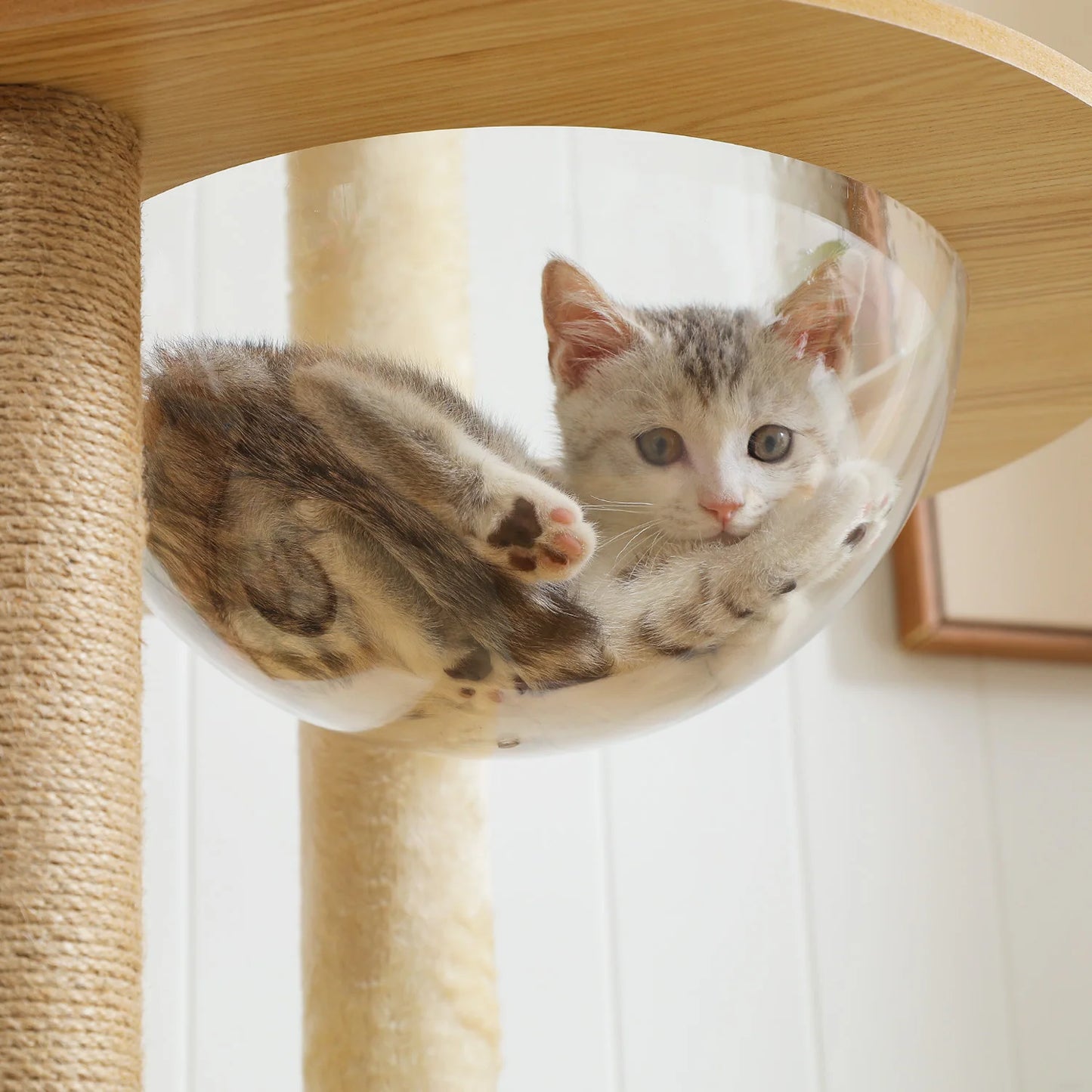 PAWZ Road Multi-Level Wood Cat Tree With Scratching Posts