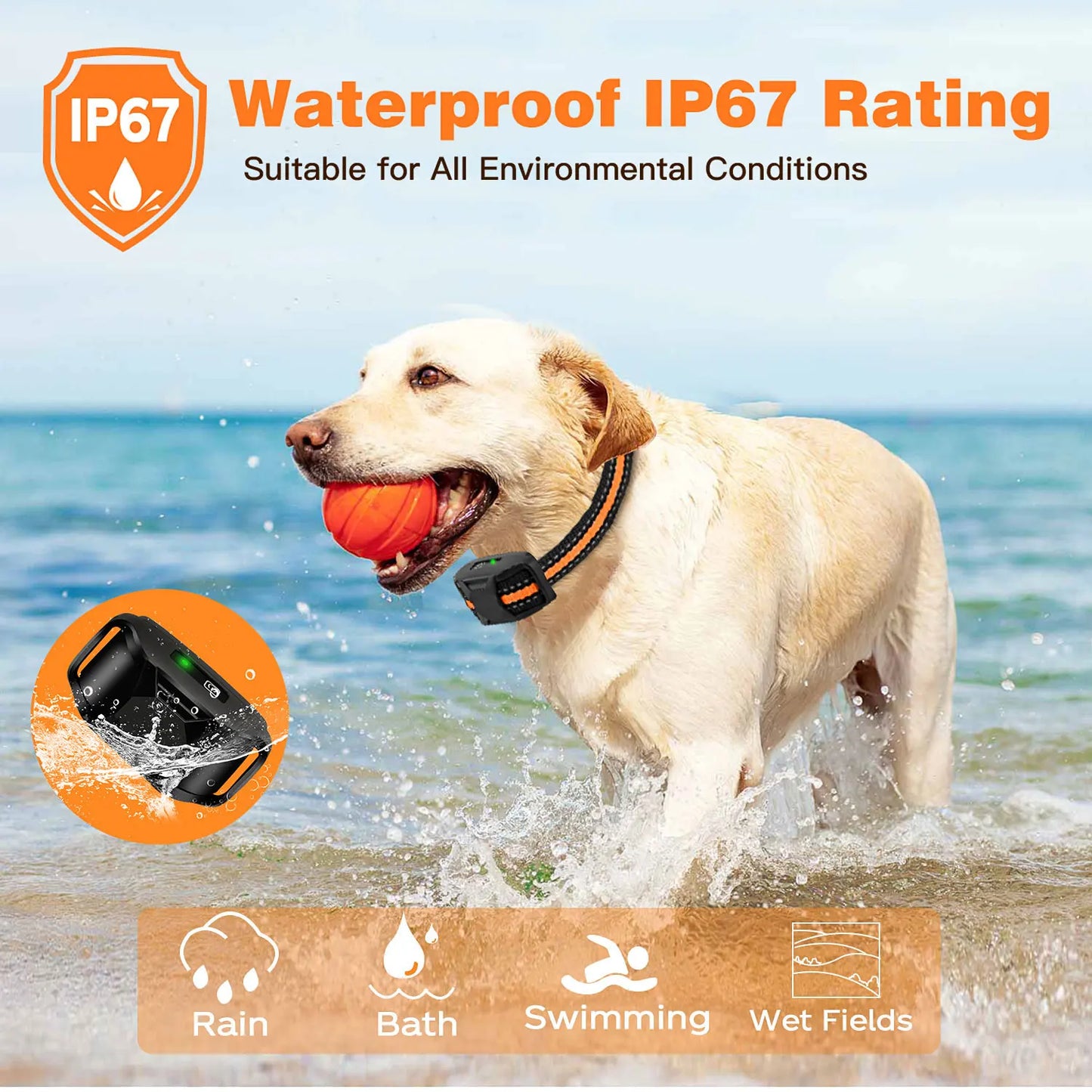 WXRPET 3300Ft Electric Dog Training Collar With Remote Shock Vibration Waterproof