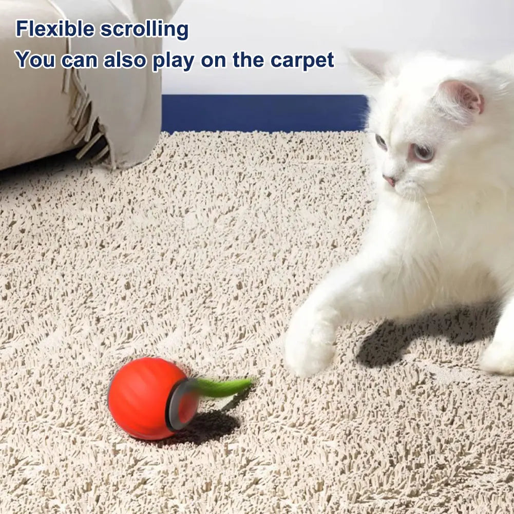 Automatic Moving Cat Ball Toy USB Rechargeable Pet Toy
