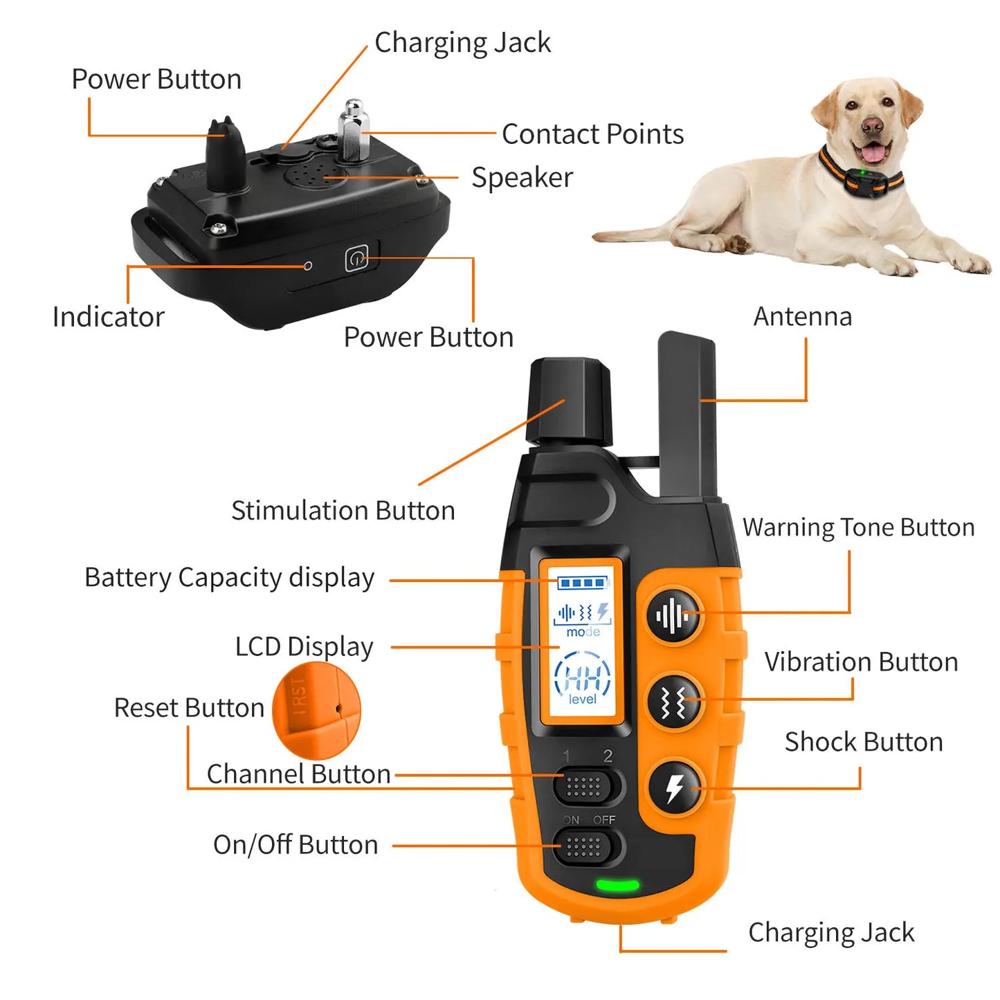 WXRPET 3300Ft Electric Dog Training Collar With Remote Shock Vibration Waterproof