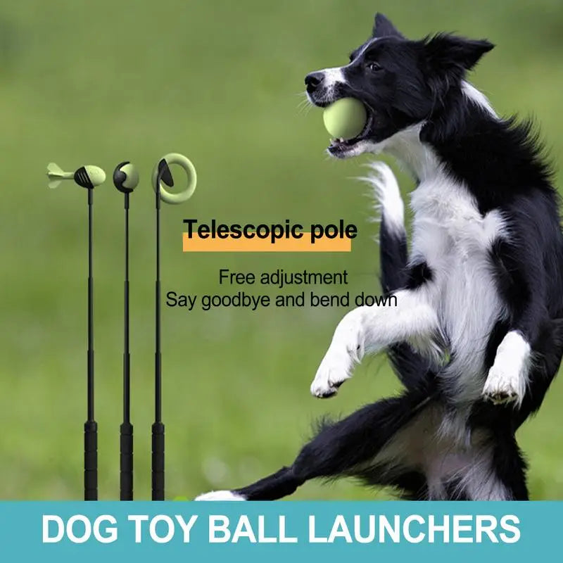 Pet Tennis Launcher Pole Dog Toy For Outdoor Throwing