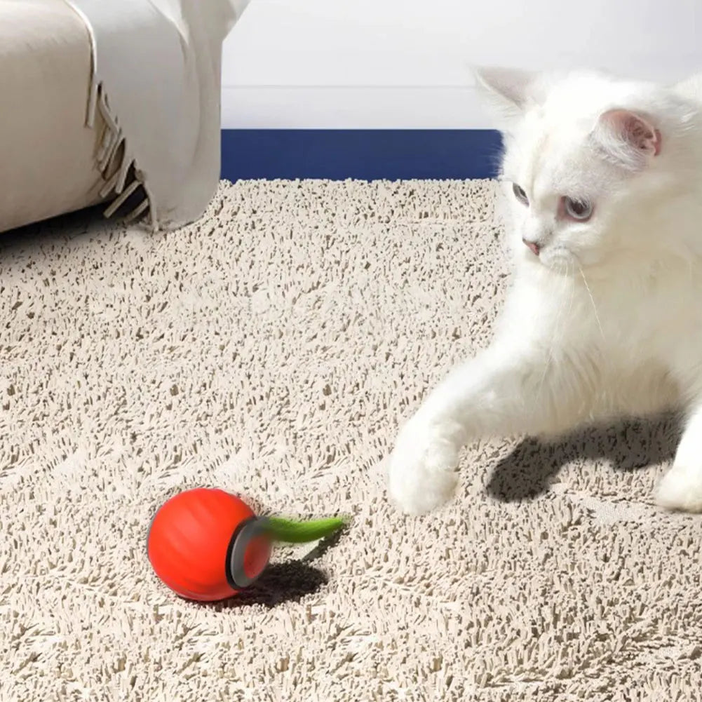 Automatic Moving Cat Ball Toy USB Rechargeable Pet Toy
