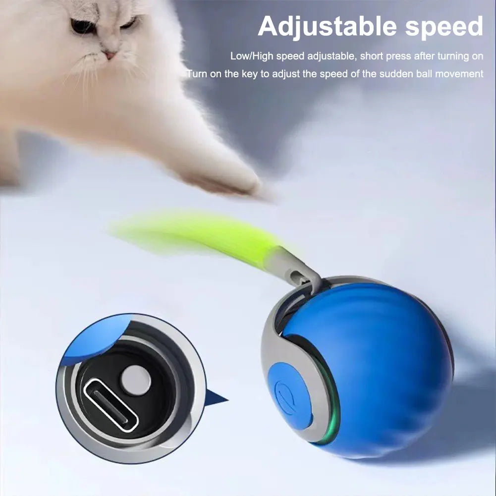 Automatic Moving Cat Ball Toy USB Rechargeable Pet Toy
