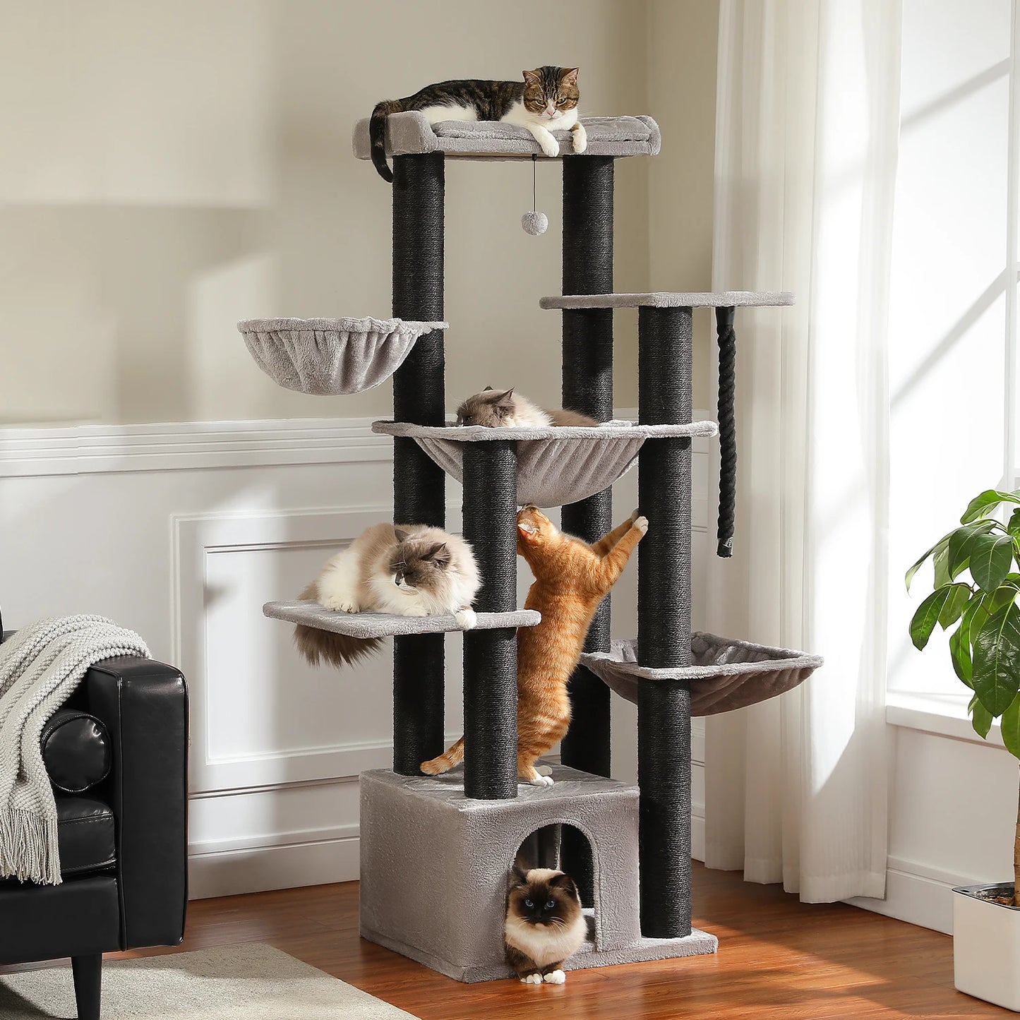 PAWZ Road Large Cat Tree for Big Cats With Hammock