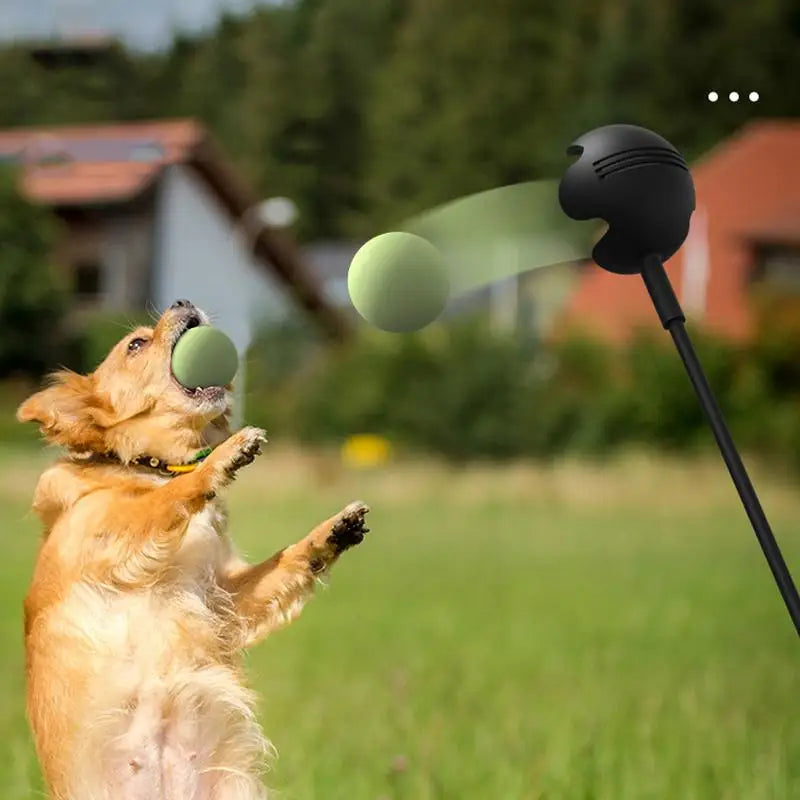 Pet Tennis Launcher Pole Dog Toy For Outdoor Throwing